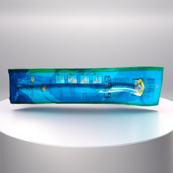 Brosses a dent Naturel miswak